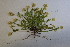  ( - CCDB-44155-G10)  @11 [ ] by-nc (2023) Justin Holder Flinders University