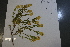  ( - CCDB-44155-G11)  @11 [ ] by-nc (2023) Justin Holder Flinders University