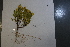  ( - CCDB-44155-F11)  @11 [ ] by-nc (2023) Justin Holder Flinders University