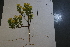  ( - CCDB-44155-F12)  @11 [ ] by-nc (2023) Justin Holder Flinders University