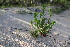  ( - CCDB-44151-E02)  @11 [ ] by-nc (2023) Justin Holder Flinders University