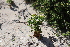  ( - CCDB-44151-E09)  @11 [ ] by-nc (2023) Justin Holder Flinders University