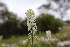  ( - CCDB-44151-G12)  @11 [ ] by-nc (2023) Justin Holder Flinders University