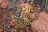  ( - CCDB-44151-D12)  @11 [ ] by-nc (2023) Justin Holder Flinders University