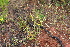  ( - CCDB-44151-C12)  @11 [ ] by-nc (2023) Justin Holder Flinders University