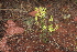  ( - CCDB-44151-B12)  @11 [ ] by-nc (2023) Justin Holder Flinders University
