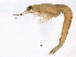  ( - BIOUG12646-D12)  @11 [ ] CreativeCommons - Attribution (2014) CBG Photography Group Centre for Biodiversity Genomics