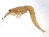  ( - BIOUG12646-E02)  @11 [ ] CreativeCommons - Attribution (2014) CBG Photography Group Centre for Biodiversity Genomics