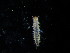  ( - BC-XP0007)  @12 [ ] Copyright (2014) Xavier Pineau Research colllection of Xavier Pineau