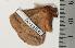  ( - BC-TB1049)  @12 [ ] Copyright (2010) Unspecified Research Collection of Thierry Bouyer