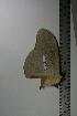  ( - BC-TB1107)  @12 [ ] Copyright (2010) Unspecified Research Collection of Thierry Bouyer