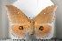  ( - BC-TB1122)  @14 [ ] Copyright (2010) Unspecified Research Collection of Thierry Bouyer