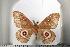  ( - BC-TB1123)  @13 [ ] Copyright (2010) Unspecified Research Collection of Thierry Bouyer