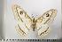  ( - BC-TB1167)  @14 [ ] Copyright (2010) Unspecified Research Collection of Thierry Bouyer
