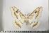 ( - BC-TB1168)  @14 [ ] Copyright (2010) Unspecified Research Collection of Thierry Bouyer