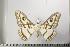  ( - BC-TB1169)  @14 [ ] Copyright (2010) Unspecified Research Collection of Thierry Bouyer