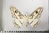 ( - BC-TB1170)  @14 [ ] Copyright (2010) Unspecified Research Collection of Thierry Bouyer