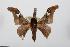  ( - BC-TB0246)  @13 [ ] Copyright (2010) Unspecified Research Collection of Thierry Bouyer