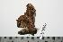  ( - BC-TB0295)  @13 [ ] Copyright (2010) Unspecified Research Collection of Thierry Bouyer