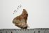  ( - BC-TB0309)  @12 [ ] Copyright (2010) Unspecified Research Collection of Thierry Bouyer