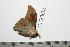  ( - BC-TB0310)  @12 [ ] Copyright (2010) Unspecified Research Collection of Thierry Bouyer