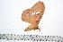  ( - BC-TB0463)  @13 [ ] Copyright (2010) Unspecified Research Collection of Thierry Bouyer