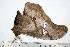  ( - BC-TB0491)  @13 [ ] Copyright (2010) Unspecified Research Collection of Thierry Bouyer