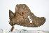  ( - BC-TB0492)  @13 [ ] Copyright (2010) Unspecified Research Collection of Thierry Bouyer