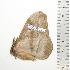  ( - BC-TB0722)  @13 [ ] Copyright (2010) Unspecified Research Collection of Thierry Bouyer