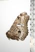  ( - BC-TB0726)  @12 [ ] Copyright (2010) Unspecified Research Collection of Thierry Bouyer