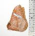  ( - BC-TB0728)  @13 [ ] Copyright (2010) Unspecified Research Collection of Thierry Bouyer