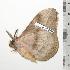  ( - BC-TB0729)  @14 [ ] Copyright (2010) Unspecified Research Collection of Thierry Bouyer