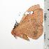  ( - BC-TB0737)  @12 [ ] Copyright (2010) Unspecified Research Collection of Thierry Bouyer