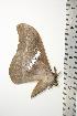  ( - BC-TB0758)  @12 [ ] Copyright (2010) Unspecified Research Collection of Thierry Bouyer