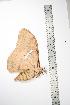  ( - BC-TB0800)  @12 [ ] Copyright (2010) Unspecified Research Collection of Thierry Bouyer