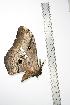  ( - BC-TB0802)  @12 [ ] Copyright (2010) Unspecified Research Collection of Thierry Bouyer