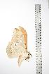  ( - BC-TB0804)  @12 [ ] Copyright (2010) Unspecified Research Collection of Thierry Bouyer