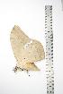  ( - BC-TB0805)  @12 [ ] Copyright (2010) Unspecified Research Collection of Thierry Bouyer