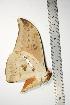  ( - BC-TB0850)  @12 [ ] Copyright (2010) Unspecified Research Collection of Thierry Bouyer