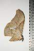  ( - BC-TB0854)  @12 [ ] Copyright (2010) Unspecified Research Collection of Thierry Bouyer
