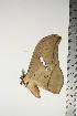  ( - BC-TB0868)  @14 [ ] Copyright (2010) Unspecified Research Collection of Thierry Bouyer