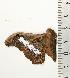  ( - BC-TB0877)  @12 [ ] Copyright (2010) Unspecified Research Collection of Thierry Bouyer