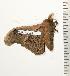  ( - BC-TB0880)  @12 [ ] Copyright (2010) Unspecified Research Collection of Thierry Bouyer
