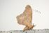  ( - BC-TB0918)  @13 [ ] Copyright (2010) Unspecified Research Collection of Thierry Bouyer