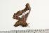  ( - BC-TB0927)  @12 [ ] Copyright (2010) Unspecified Research Collection of Thierry Bouyer