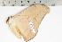  ( - BC-TB1189)  @11 [ ] Copyright (2010) Unspecified Research Collection of Thierry Bouyer
