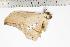  ( - BC-TB1212)  @13 [ ] Copyright (2010) Unspecified Research Collection of Thierry Bouyer