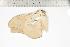  ( - BC-TB1246)  @13 [ ] Copyright (2010) Unspecified Research Collection of Thierry Bouyer