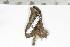  ( - BC-TB1271)  @12 [ ] Copyright (2010) Unspecified Research Collection of Thierry Bouyer