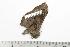  ( - BC-TB1274)  @12 [ ] Copyright (2010) Unspecified Research Collection of Thierry Bouyer